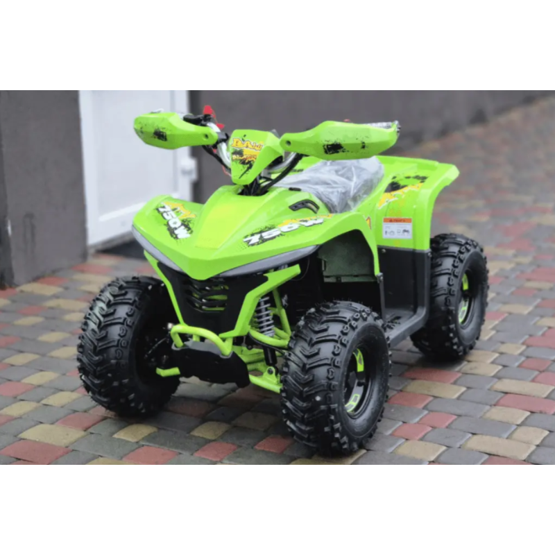 Квадроцикл Comman Balu TEA750 750W